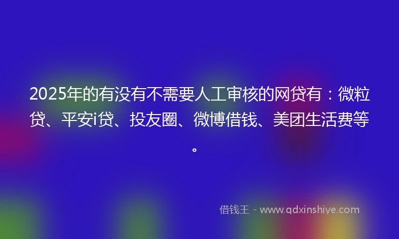 2025年的有没有不需要人工审核的网贷有：微粒贷、平安i贷、投友圈、微博借钱、美团生活费等。
