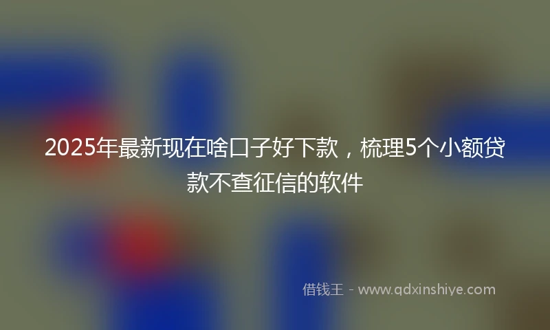 2025年最新现在啥口子好下款，梳理5个小额贷款不查征信的软件