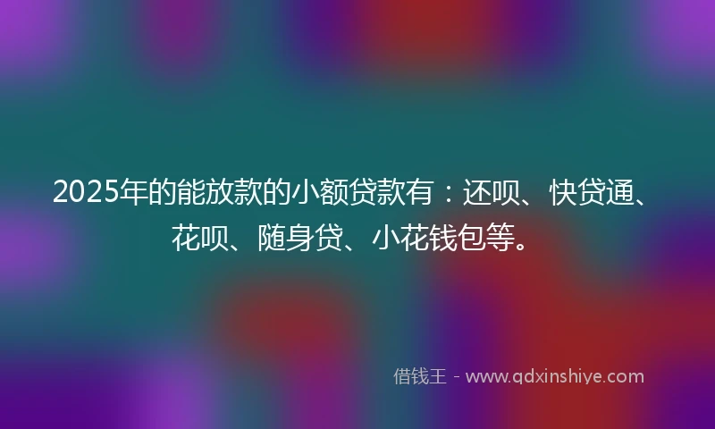 2025年的能放款的小额贷款有：还呗、快贷通、花呗、随身贷、小花钱包等。