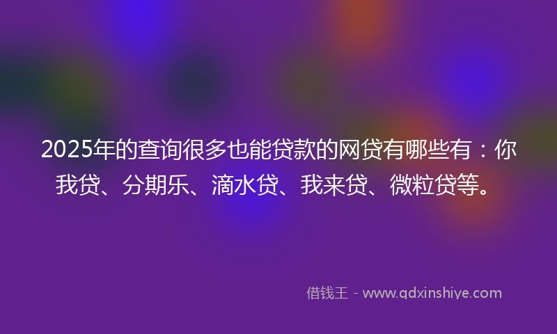 2025年的查询很多也能贷款的网贷有哪些有：你我贷、分期乐、滴水贷、我来贷、微粒贷等。