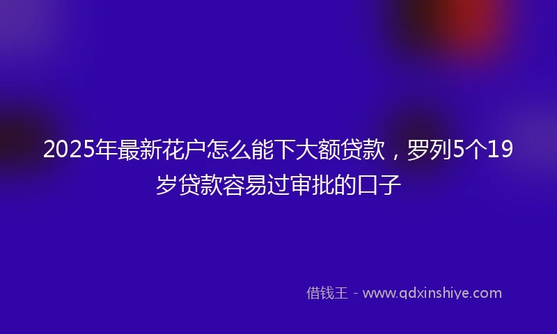 2025年最新花户怎么能下大额贷款,罗列5个19岁贷款容易过审批的口子