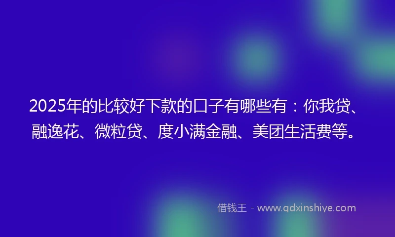 2025年的比较好下款的口子有哪些有：你我贷、融逸花、微粒贷、度小满金融、美团生活费等。