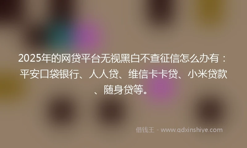 2025年的网贷平台无视黑白不查征信怎么办有：平安口袋银行、人人贷、维信卡卡贷、小米贷款、随身贷等。