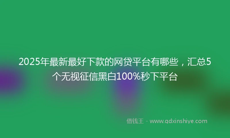 2025年最新最好下款的网贷平台有哪些，汇总5个无视征信黑白100%秒下平台