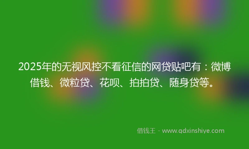 2025年的无视风控不看征信的网贷贴吧有：微博借钱、微粒贷、花呗、拍拍贷、随身贷等。