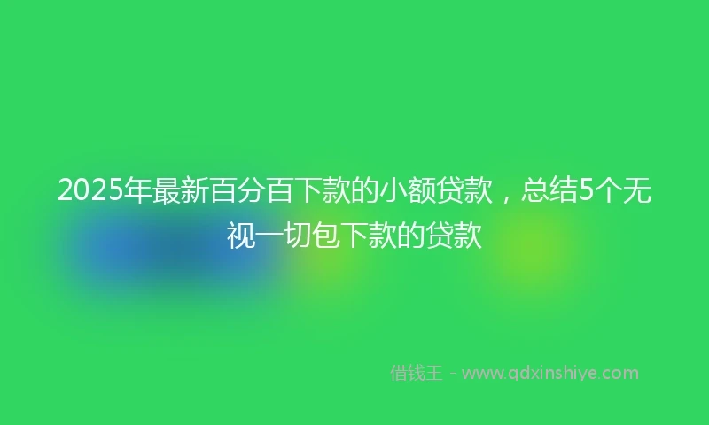 2025年最新百分百下款的小额贷款，总结5个无视一切包下款的贷款