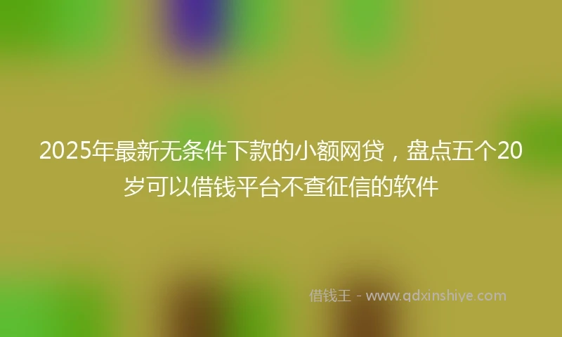 2025年最新无条件下款的小额网贷，盘点五个20岁可以借钱平台不查征信的软件
