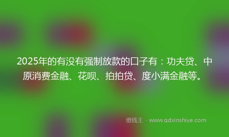 2025年的有没有强制放款的口子有：功夫贷、中原消费金融、花呗、拍拍贷、度小满金融等。