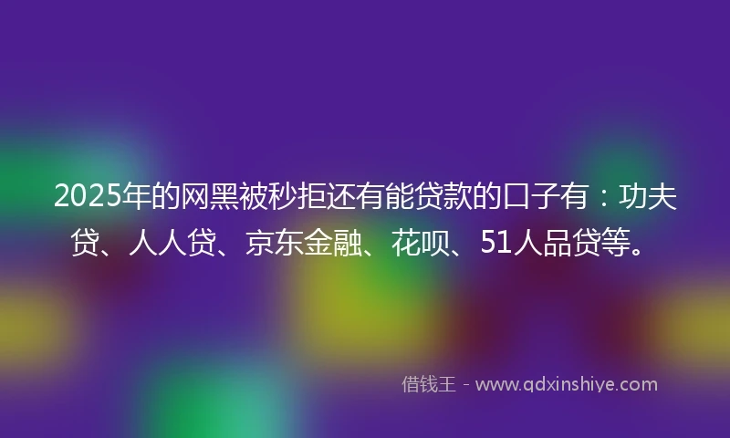 2025年的网黑被秒拒还有能贷款的口子有：功夫贷、人人贷、京东金融、花呗、51人品贷等。