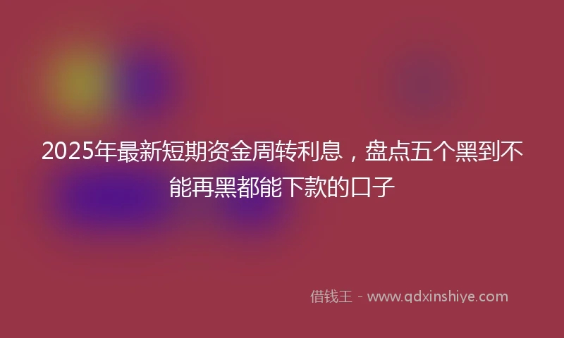 2025年最新短期资金周转利息，盘点五个黑到不能再黑都能下款的口子