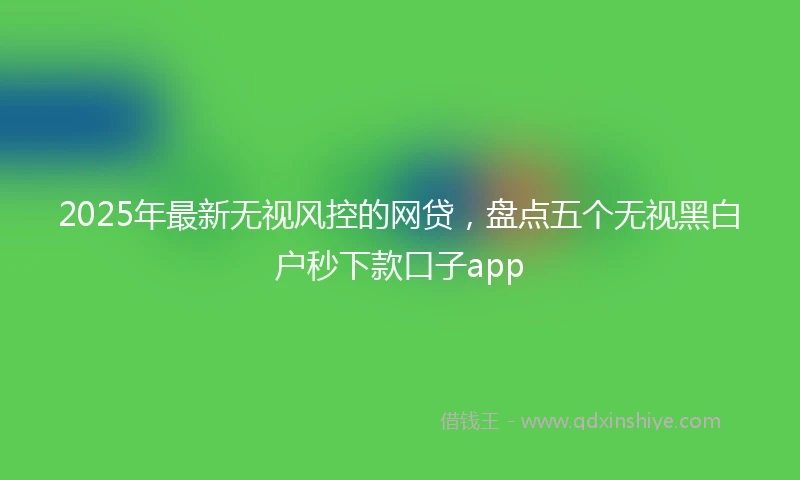2025年最新无视风控的网贷，盘点五个无视黑白户秒下款口子app