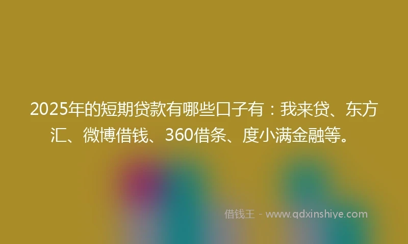 2025年的短期贷款有哪些口子有：我来贷、东方汇、微博借钱、360借条、度小满金融等。