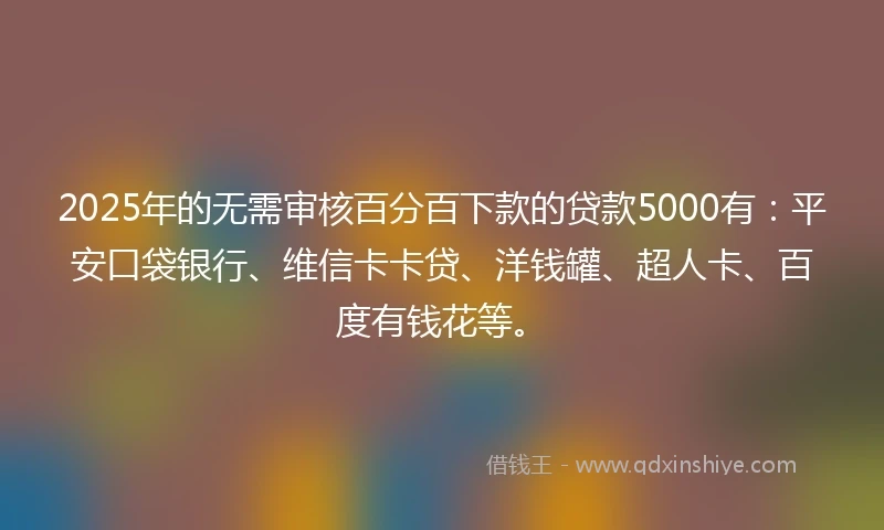 2025年的无需审核百分百下款的贷款5000有：平安口袋银行、维信卡卡贷、洋钱罐、超人卡、百度有钱花等。