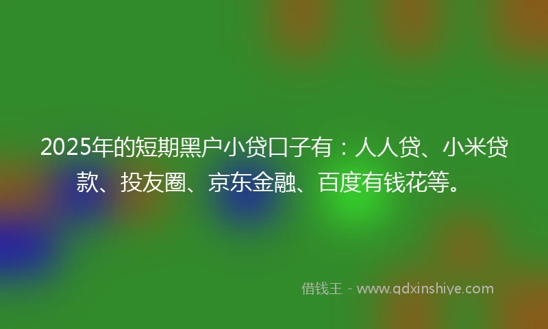 2025年的短期黑户小贷口子有：人人贷、小米贷款、投友圈、京东金融、百度有钱花等。