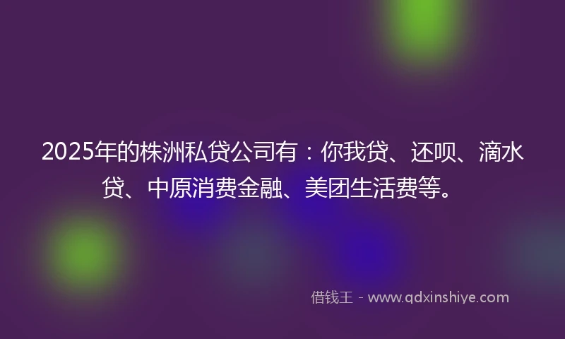 2025年的株洲私贷公司有：你我贷、还呗、滴水贷、中原消费金融、美团生活费等。