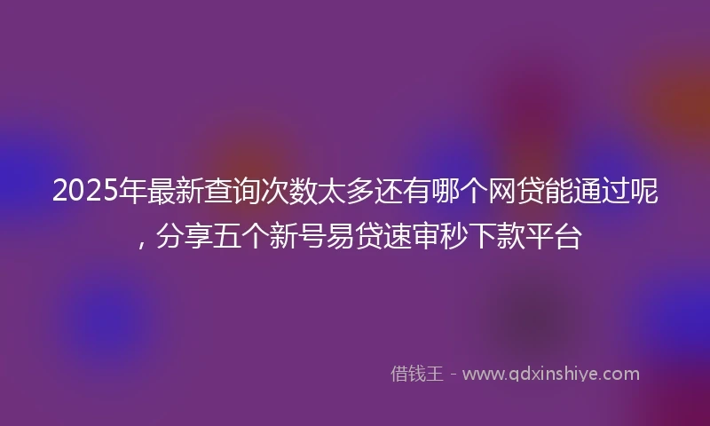 2025年最新查询次数太多还有哪个网贷能通过呢，分享五个新号易贷速审秒下款平台