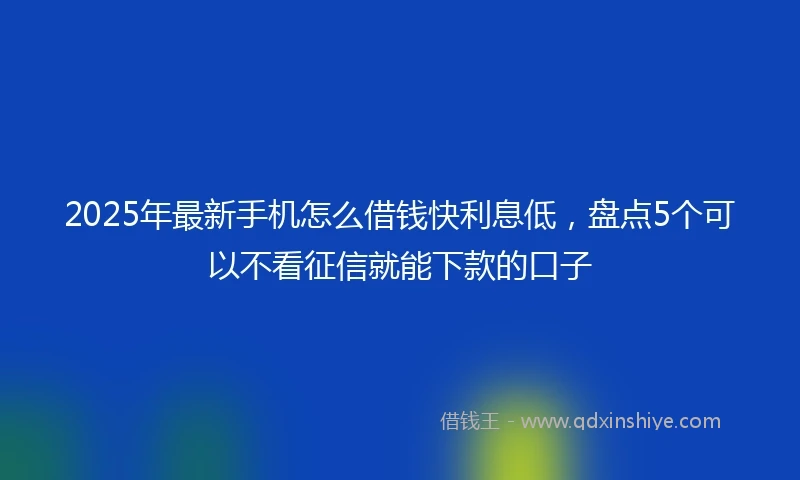 2025年最新手机怎么借钱快利息低，盘点5个可以不看征信就能下款的口子