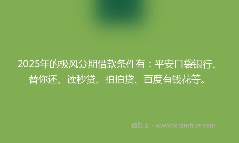 2025年的极风分期借款条件有：平安口袋银行、替你还、读秒贷、拍拍贷、百度有钱花等。