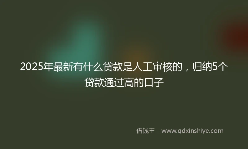 2025年最新有什么贷款是人工审核的，归纳5个贷款通过高的口子