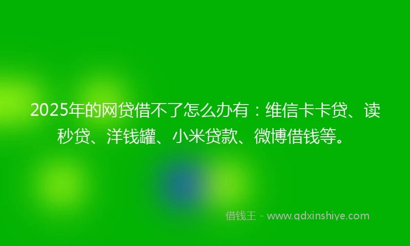 2025年的网贷借不了怎么办有：维信卡卡贷、读秒贷、洋钱罐、小米贷款、微博借钱等。