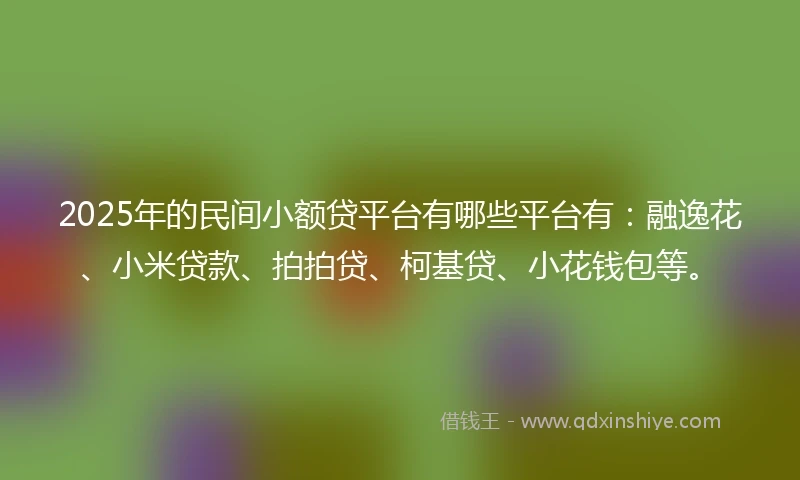 2025年的民间小额贷平台有哪些平台有：融逸花、小米贷款、拍拍贷、柯基贷、小花钱包等。