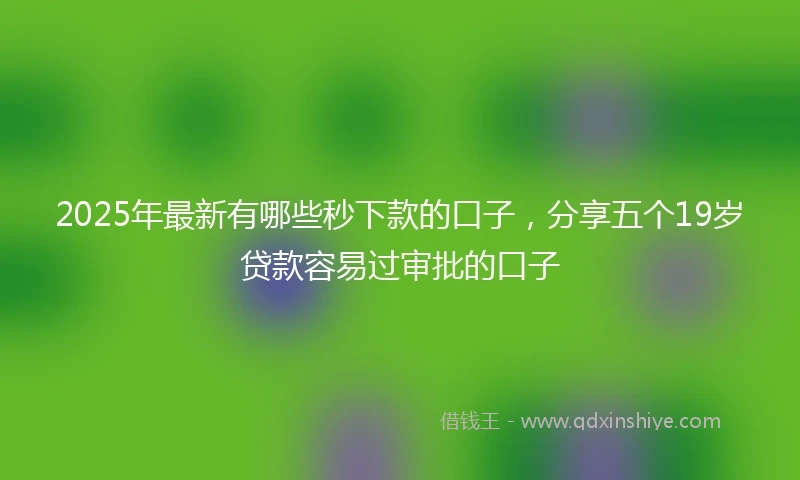 2025年最新有哪些秒下款的口子，分享五个19岁贷款容易过审批的口子