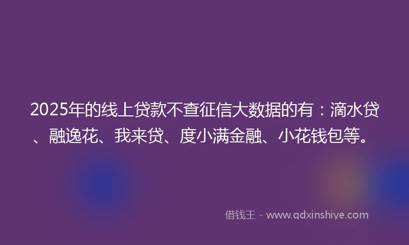 2025年的线上贷款不查征信大数据的有：滴水贷、融逸花、我来贷、度小满金融、小花钱包等。
