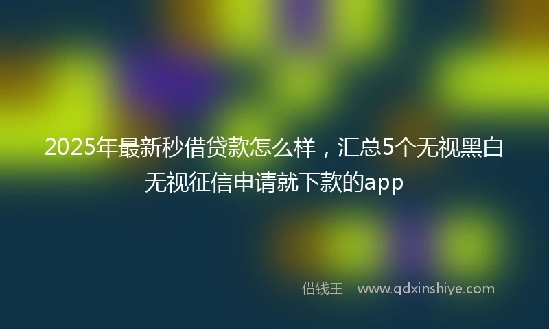 2025年最新秒借贷款怎么样，汇总5个无视黑白无视征信申请就下款的app