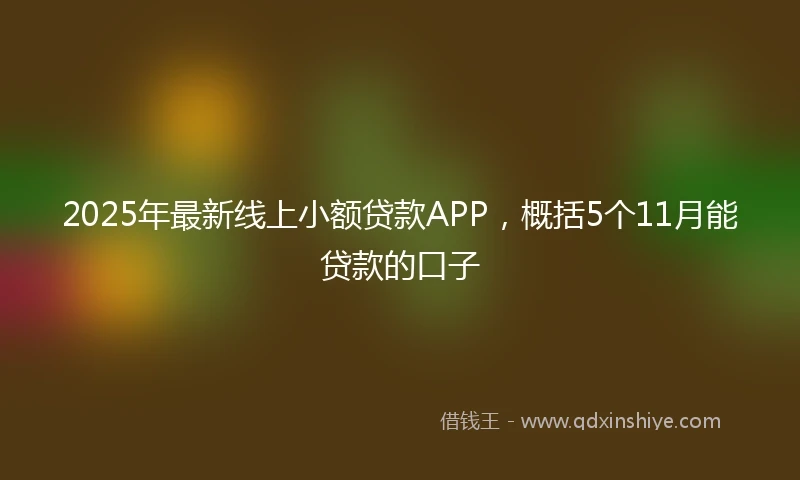2025年最新线上小额贷款APP，概括5个11月能贷款的口子