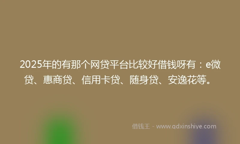 2025年的有那个网贷平台比较好借钱呀有：e微贷、惠商贷、信用卡贷、随身贷、安逸花等。