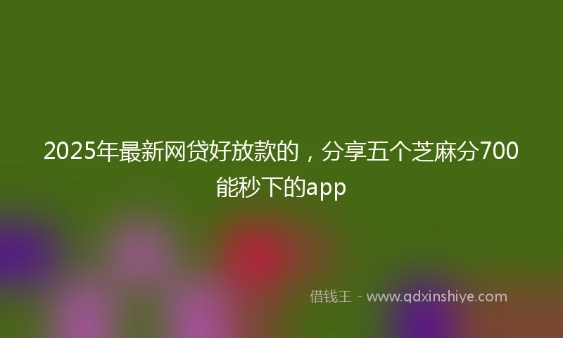 2025年最新网贷好放款的，分享五个芝麻分700能秒下的app
