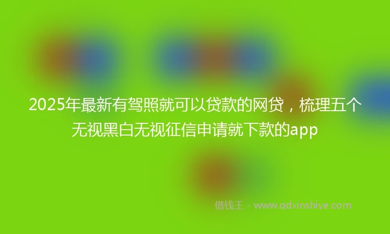 2025年最新有驾照就可以贷款的网贷，梳理五个无视黑白无视征信申请就下款的app