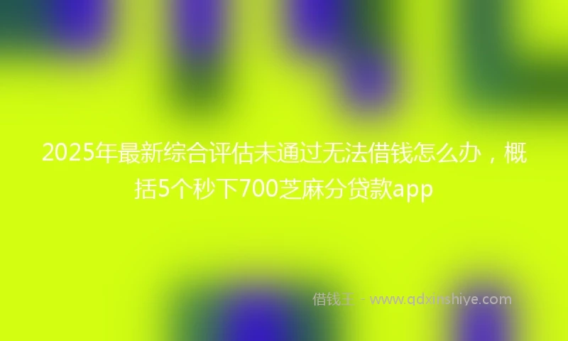 2025年最新综合评估未通过无法借钱怎么办，概括5个秒下700芝麻分贷款app