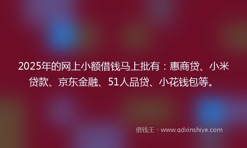 2025年的网上小额借钱马上批有：惠商贷、小米贷款、京东金融、51人品贷、小花钱包等。