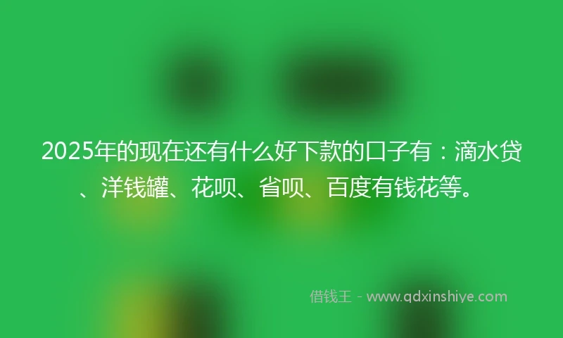 2025年的现在还有什么好下款的口子有：滴水贷、洋钱罐、花呗、省呗、百度有钱花等。