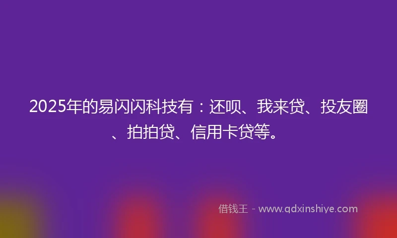 2025年的易闪闪科技有：还呗、我来贷、投友圈、拍拍贷、信用卡贷等。