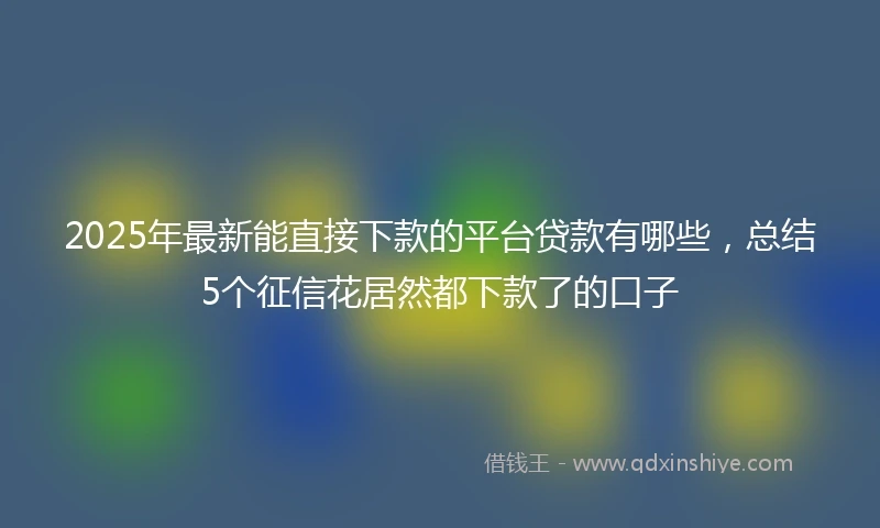 2025年最新能直接下款的平台贷款有哪些,总结5个征信花居然都下款了的口子
