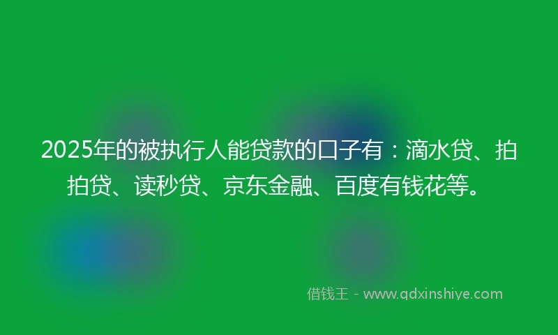 2025年的被执行人能贷款的口子有：滴水贷、拍拍贷、读秒贷、京东金融、百度有钱花等。