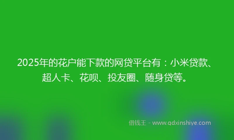 2025年的花户能下款的网贷平台有：小米贷款、超人卡、花呗、投友圈、随身贷等。
