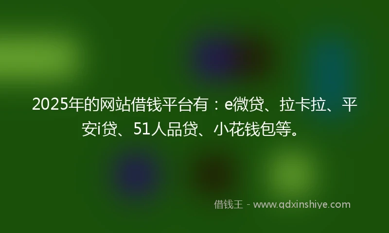 2025年的网站借钱平台有：e微贷、拉卡拉、平安i贷、51人品贷、小花钱包等。