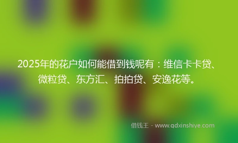 2025年的花户如何能借到钱呢有：维信卡卡贷、微粒贷、东方汇、拍拍贷、安逸花等。