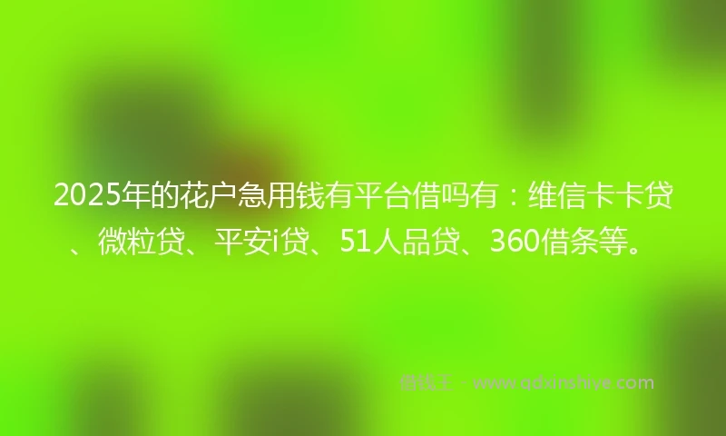 2025年的花户急用钱有平台借吗有：维信卡卡贷、微粒贷、平安i贷、51人品贷、360借条等。