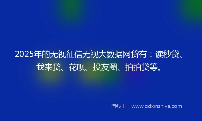 2025年的无视征信无视大数据网贷有：读秒贷、我来贷、花呗、投友圈、拍拍贷等。