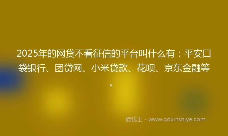 2025年的网贷不看征信的平台叫什么有：平安口袋银行、团贷网、小米贷款、花呗、京东金融等。