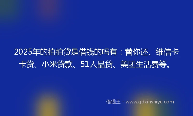 2025年的拍拍贷是借钱的吗有：替你还、维信卡卡贷、小米贷款、51人品贷、美团生活费等。