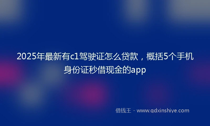 2025年最新有c1驾驶证怎么贷款,概括5个手机身份证秒借现金的app