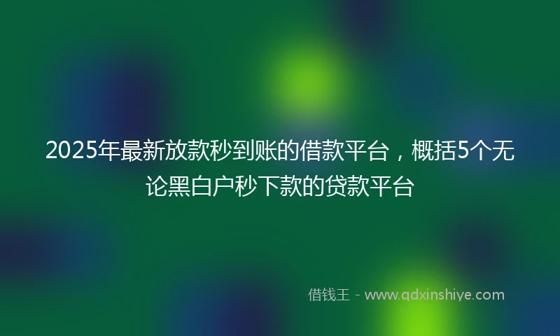 2025年最新放款秒到账的借款平台，概括5个无论黑白户秒下款的贷款平台