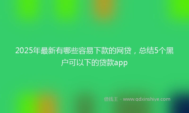 2025年最新有哪些容易下款的网贷,总结5个黑户可以下的贷款app