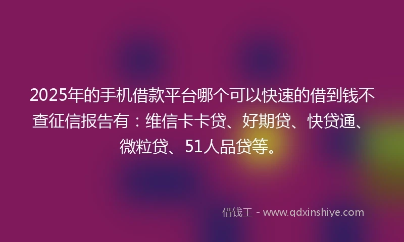 2025年的手机借款平台哪个可以快速的借到钱不查征信报告有：维信卡卡贷、好期贷、快贷通、微粒贷、51人品贷等。