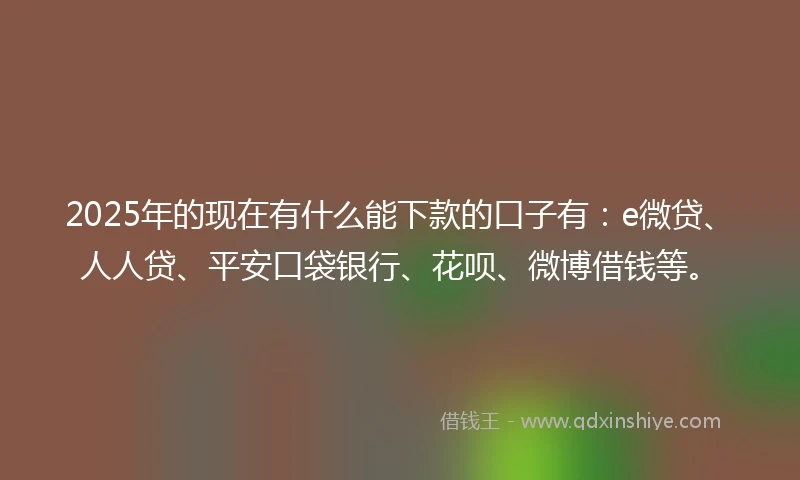 2025年的现在有什么能下款的口子有：e微贷、人人贷、平安口袋银行、花呗、微博借钱等。